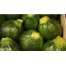 Courgettes rondes vertes le kilo