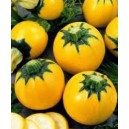 Courgettes rondes jaunes le kilo
