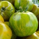 Tomates Green Zebra le kg