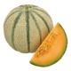 Melon