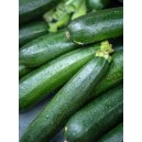 Courgettes vertes les 500 gr