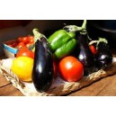 Essentiel de la Ratatouille