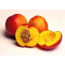 Nectarines Jaunes