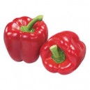 Poivrons rouges les 500gr