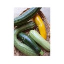 courgettes longues mix