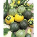 Courgettes rondes mix