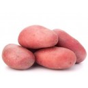 pommes de terre rosabelle le kg