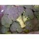 brocoli la pièce