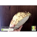 Demi Céleri boule 