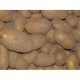 Pommes de terre Resy 