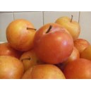 Prunes Sun les 500 gr