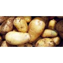 Pommes de terre Nouvelles Charlotte 4kg + 1 gratuit