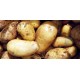 Pommes de terre Nouvelles Charlotte 4kg + 1 gratuit