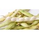 Haricots à écosser Blancs le kg