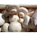 Champignons de Paris Blancs les 250 gr