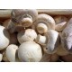 Champignons de Paris Blancs les 500 gr