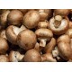 Champignons de Paris Rosés les 250 gr