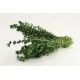 Thym le bouquet