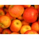 Pommes pirouette