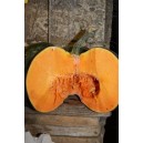 Potiron Musqué de Provence le kg