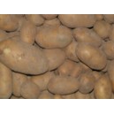 pommes de terre resy les 5 kgs