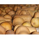 courge butternut la pièce