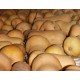 courge butternut la pièce